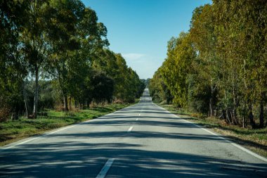 Portekiz, Alentejo 'da Viana do Alentejo köyü yakınlarında bir karayolu. Portekiz, Viana do Alentejo, Ekim 2021