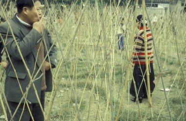 Çocuklar Çin 'in Henan ilindeki Kaifeng şehrinde bir labirent parkında. Çin, Kaifeng, Kasım 1996