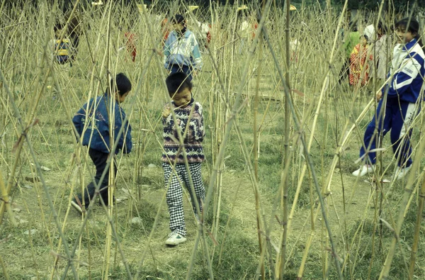 Los Niños Parque Laberinto Ciudad Kaifeng Provincia Henan China China — Foto de Stock