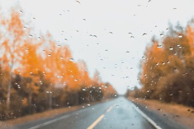 Sonbahar ormanı ve yağmur altında köy yolu. Arabanın camından yağmur yağıyor. Pankart