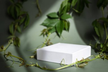 Sunum için boş beyaz podyum ve gölgeli beyaz zemin üzerine sergiler. Organik kozmetik ürünler için yeşil yapraklı 3D stand yap. Boşluğu kopyala.