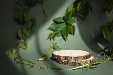 Sunum için doğal yuvarlak ahşap tezgah ve gölgeli beyaz arka planda sergiler. Organik kozmetik ürünler için yeşil yapraklı 3D boş podyum oluşturun. Boşluğu kopyala.