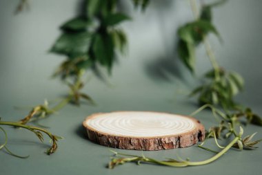 Sunum için doğal yuvarlak ahşap tezgah ve gölgeli beyaz arka planda sergiler. Organik kozmetik ürünler için yeşil yapraklı 3D boş podyum oluşturun. Boşluğu kopyala.