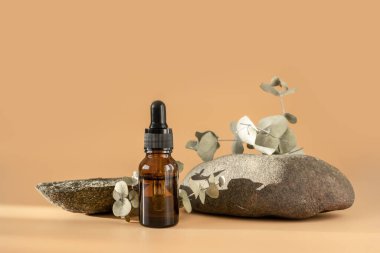 Kozmetik yağlı cam damlaları, zaruri ya da serum ve yeşil yosunlar, taş üzerine izole edilmiş okaliptüs bitkisel homeopatik ürünlerle birlikte pastel arka planda doğal organik kaplıca ürünleri.
