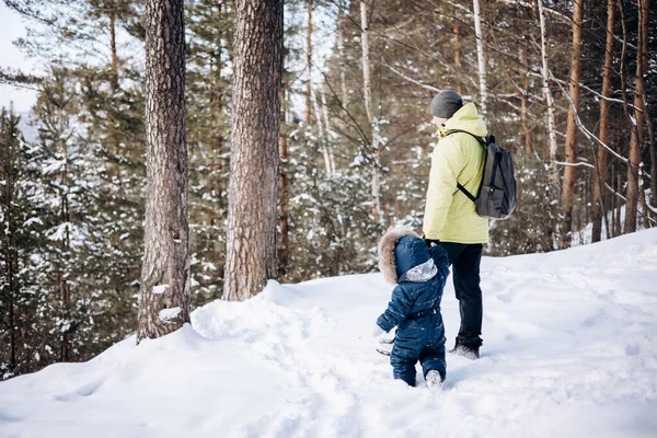 冬の松林の中を歩く父と小さな息子 雪の自然公園を歩く青い全体でリュックと幼児の男の子を持つ男 クリスマス休暇を屋外で 後ろから来た人たち — ストック写真