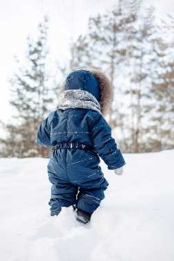 Karlı çam ormanlarında yürüyen bir çocuk. Küçük çocuk kışın dışarıda eğleniyor. Noel tatili. Mavi tulumlu, örgü örüp parkta oynayan tatlı çocuk..