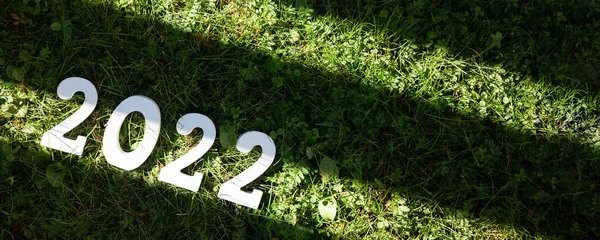祝2022年新年快乐 绿草上白色的木制编号2022 班纳复制空间 — 图库照片