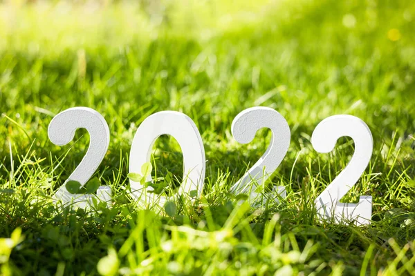 Mulţi Ani 2022 Numărul Lemn Alb 2022 Iarbă Verde — Fotografie, imagine de stoc