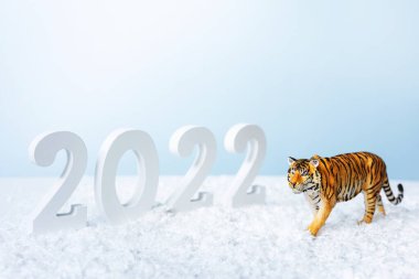 Mutlu yıllar 2022. 2022 numaralı dekoratif beyaz ve mavi arka planda izole edilmiş kaplan figürü. Noel tebrik kartı..
