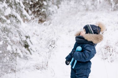Karlı çam ormanlarında yürüyen bir çocuk. Küçük çocuk kışın dışarıda eğleniyor. Noel tatili. Mavi tulumlu, örgü örüp parkta oynayan tatlı çocuk..