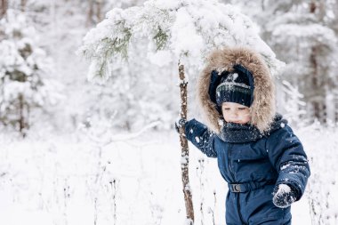 Karlı çam ormanlarında yürüyen bir çocuk. Küçük çocuk kışın dışarıda eğleniyor. Noel tatili. Mavi tulumlu, örgü örüp parkta oynayan tatlı çocuk..