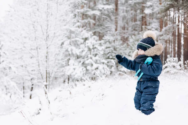 雪のスプルースの森を歩く子供 冬の自然の中でアウトドアを楽しんでいる小さな子供の男の子 クリスマス休暇だ かわいいです幼児男の子で青全体とニットスカーフとキャップ遊びで公園 — ストック写真