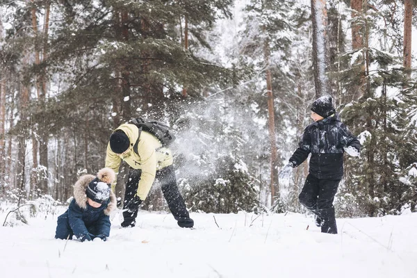 Baba ve oğulları kış ormanında kartopu savaşı yapıyorlar. Dışarıda karda oynayan mutlu çocuklar. Noel tatili, yeni yıl aile tatili. Sıcak giysili kardeşler soğuk günde yürürler.