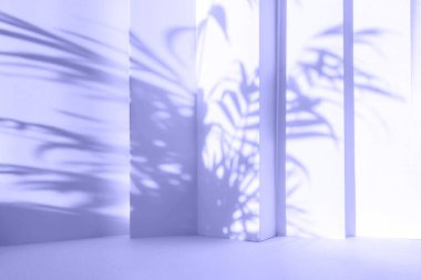 Boş beyaz masa ve soyut geometrik duvar arkaplanı ile palmiye gölgeleri örtülü. Ürün görüntüleme şablonu.