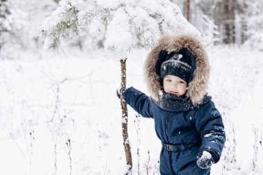 Karlı çam ormanlarında yürüyen bir çocuk. Küçük çocuk kışın dışarıda eğleniyor. Noel tatili. Mavi tulumlu, örgü örüp parkta oynayan tatlı çocuk..