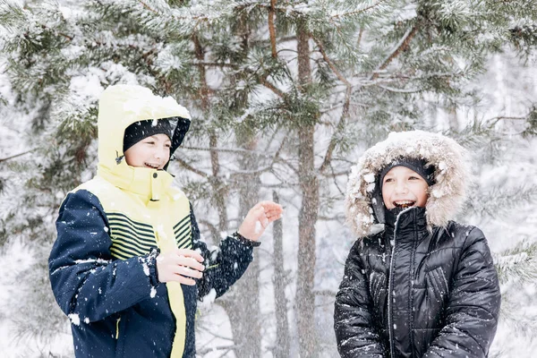 冬の森に雪が降っているのを見て幸せな10代の男の子 子供たちは屋外で楽しんでいます 雪の中で遊ぶ楽しい兄弟たち 寒い日に冬の公園を歩く笑顔の子供たち — ストック写真