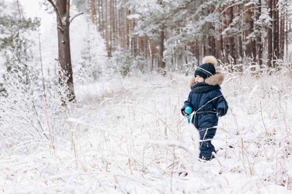 雪のスプルースの森を歩く子供 冬の自然の中でアウトドアを楽しんでいる小さな子供の男の子 クリスマス休暇だ かわいいです幼児男の子で青全体とニットスカーフとキャップ遊びで公園 — ストック写真
