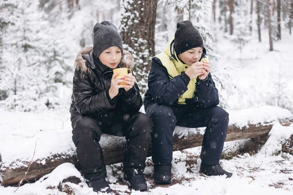 10代の男の子が魔法瓶でお茶を飲んで 冬の雪の森で丸太の上で一緒に座って話をしています 冷たい天気の中で熱い飲み物 屋外で冬の季節にピクニックをしている子供たち 地方旅行 — ストック写真