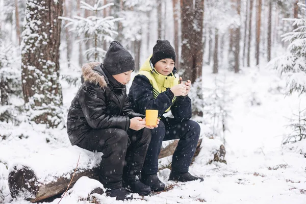 10代の男の子が魔法瓶でお茶を飲んで 冬の雪の森で丸太の上で一緒に座って話をしています 冷たい天気の中で熱い飲み物 屋外で冬の季節にピクニックをしている子供たち 地方旅行 — ストック写真