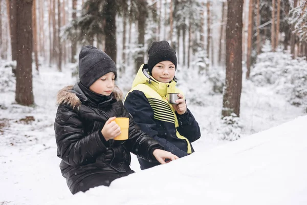 10代の男の子が魔法瓶でお茶を飲んで 冬の雪の森で丸太の上で一緒に座って話をしています 冷たい天気の中で熱い飲み物 屋外で冬の季節にピクニックをしている子供たち 地方旅行 — ストック写真