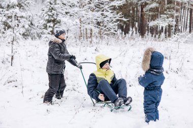 Mutlu çocuklar kış karlı ormanlarında kızakla kayıyorlar. Genç oğlanlar ve yeni yürümeye başlayan çocuk kızakla kayarken ve buzda oynarken eğleniyorlar. Kış zamanı açık hava aktivitesi. Sıcak giysili neşeli kardeşler yürüyor.