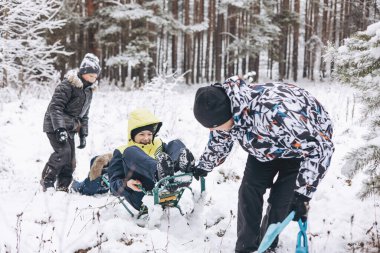 Father and sons sledding and having fun together winter forest. Happy children and young man playing in snow. Teenager boys, cute toddler walking on frosty day. Wintertime activity outdoors