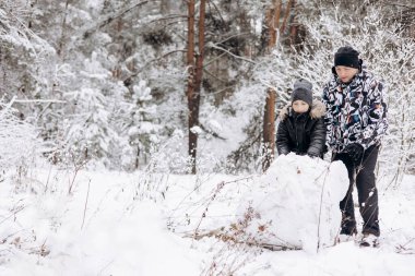 Karlı kış ormanlarında kardan adam için büyük bir kartopu yuvarlayan mutlu baba ve küçük oğlu. Neşeli Adam ve genç çocuk aile yürüyüşünde eğleniyor. Kış zamanı açık hava aktivitesi.