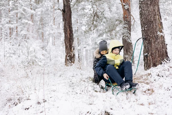 冬の雪の森で寝ている幸せな子供たち 10代の男の子はそりに乗って霜の日に遊んでいます 冬の野外活動 自然の中を歩く暖かい服の二人の楽しい友人 — ストック写真