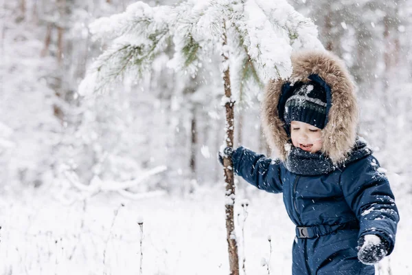 雪のスプルースの森を歩く子供 冬の自然の中でアウトドアを楽しんでいる小さな子供の男の子 クリスマス休暇だ かわいいです幼児男の子で青全体とニットスカーフとキャップ遊びで公園 — ストック写真