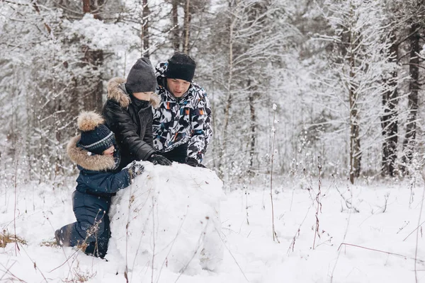 Karlı kış ormanlarında kardan adam için büyük bir kartopu yuvarlayan mutlu baba ve oğullar. Neşeli genç bir adam ve küçük bir çocuk aile yürüyüşünde eğleniyor. Kış zamanı açık hava aktivitesi.