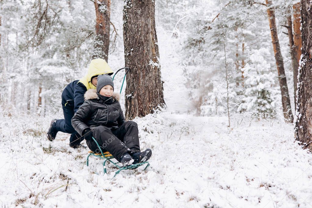 Happy children sledding down in winter snowy forest. Teenage boys having fun riding sledge and playing on frosty day. Wintertime activity outdoors. Two joyful friends in warm clothes walking in nature