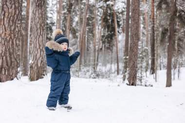 Karlı çam ormanlarında yürüyen bir çocuk. Küçük çocuk kışın dışarıda eğleniyor. Noel tatili. Mavi tulumlu, örgü örüp parkta oynayan sevimli, mutlu bir çocuk..