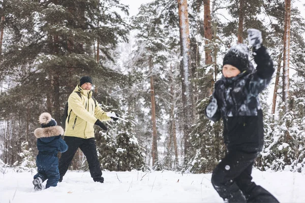 Отец Сыновья Веселые Снежки Сражаются Вместе Зимнем Лесу Счастливые Дети — стоковое фото