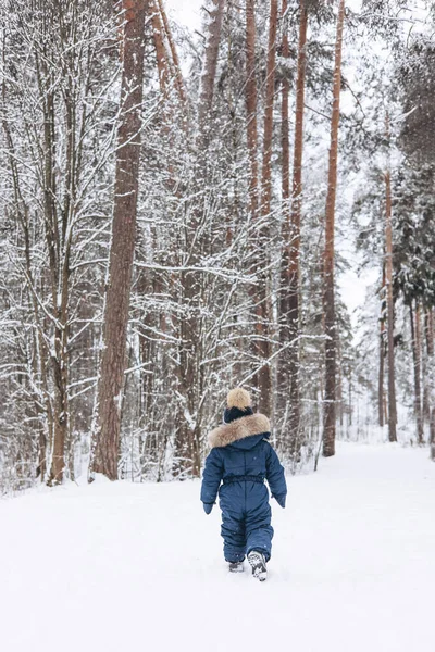 雪のスプルースの森の中を歩く子供のリアビュー 冬の自然の中でアウトドアを楽しんでいる小さな子供の男の子 クリスマス休暇だ かわいいです幸せな幼児で青全体とニットスカーフとキャップ遊びで公園 — ストック写真