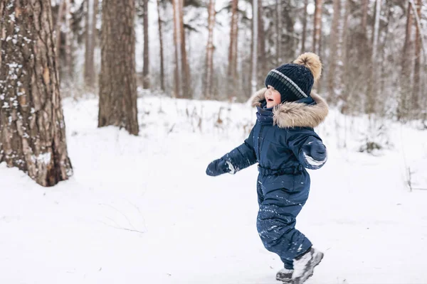 雪のスプルースの森を歩く子供 冬の自然の中でアウトドアを楽しんでいる小さな子供の男の子 クリスマス休暇だ かわいいです幸せな幼児男の子で青全体とニットスカーフとキャップ遊びで公園 — ストック写真