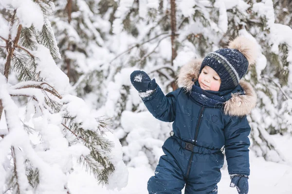 雪のスプルースの森を歩く子供 冬の自然の中でアウトドアを楽しんでいる小さな子供の男の子 クリスマス休暇だ かわいいです幸せな幼児男の子で青全体とニットスカーフとキャップ遊びで公園 — ストック写真