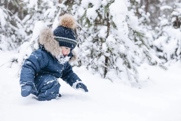 雪に覆われた松林の中を歩く子供 冬の自然の中でアウトドアを楽しんでいる小さな子供の少年の後部ビュー クリスマス休暇だ かわいいです幼児男の子で青全体とニットスカーフとキャップ遊びで公園 — ストック写真