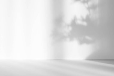 Ürün sunumu için soyut beyaz stüdyo arka planı. Boş oda, pencere gölgeleri, çiçekler ve palmiye yaprakları. Kopya alanı olan 3D oda. Yaz konseri. Bulanık arkaplan.