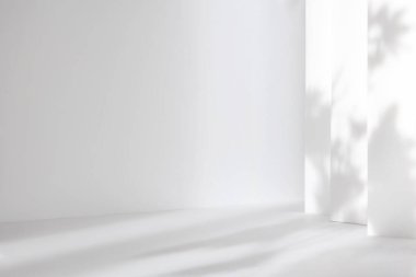 Kozmetik ürün sunumu için soyut beyaz 3d stüdyo arka planı. Penceresi gölgeli boş gri bir oda. Bulanık arkaplan ile ürünü göster.