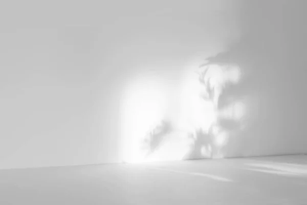 Ürün sunumu için soyut beyaz stüdyo arka planı. Boş oda, pencere gölgeleri, çiçekler ve palmiye yaprakları. Kopya alanı olan 3D oda. Yaz konseri. Bulanık arkaplan.