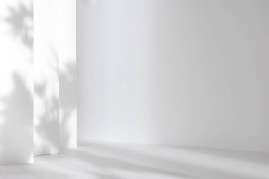 Kozmetik ürün sunumu için soyut beyaz 3d stüdyo arka planı. Penceresi gölgeli boş gri bir oda. Bulanık arkaplan ile ürünü göster.