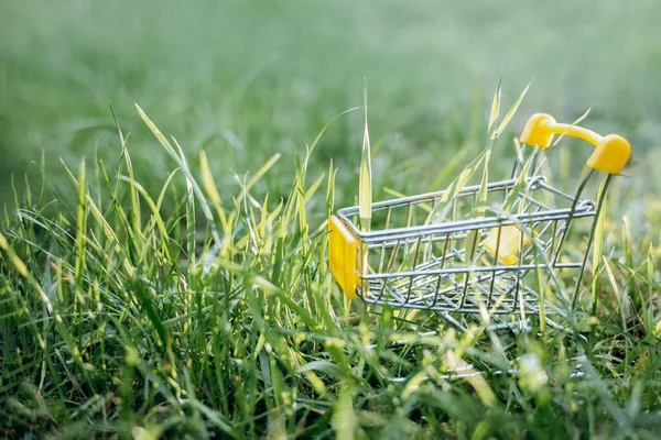 Sustainable consumption. Empty shopping cart on green grass background. Zero waste concept. Copy space.