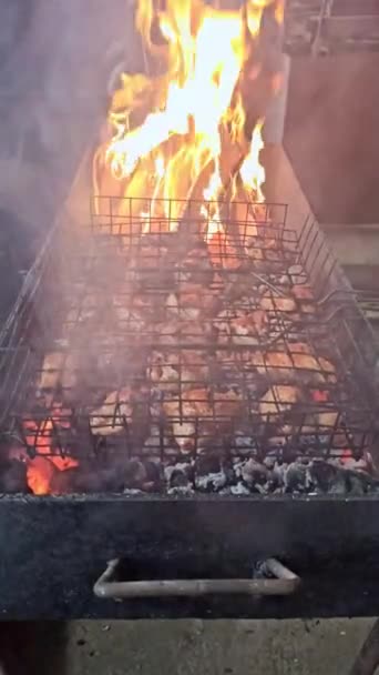 Pezzi di pollo sono fritti sulla griglia, verticale slow-mo — Video Stock