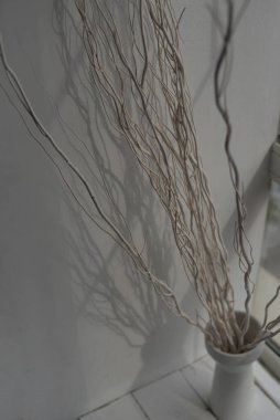 long branches in a white vase on a concrete floor