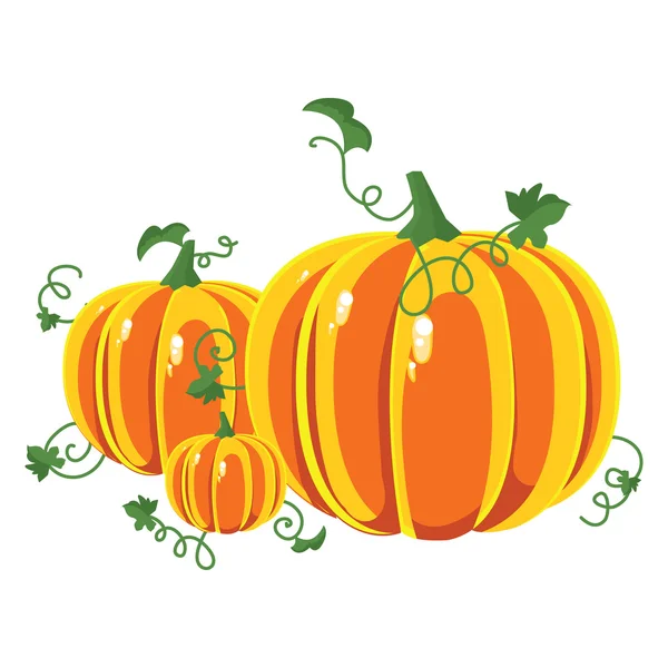 Calabaza con hojas sobre un fondo blanco . — Vector de stock