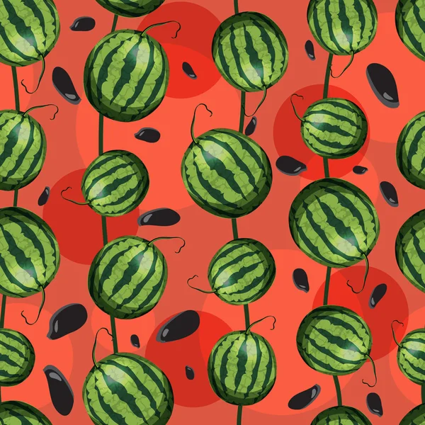 Vattenmelon och frön från vattenmelon. — Stock vektor