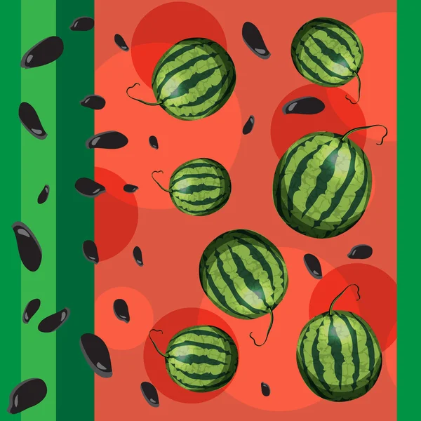 Vattenmelon och frön från vattenmelon. — Stock vektor