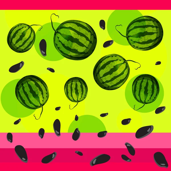 Vattenmelon och frön från vattenmelon. — Stock vektor