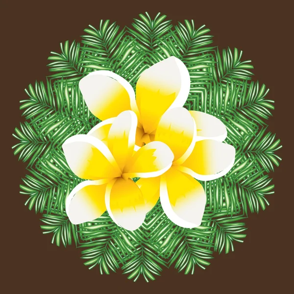 Plumeria motif vectoriel sans couture feuilles de palmier fond — Image vectorielle