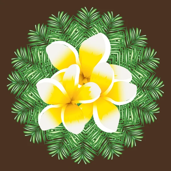 Plumeria άνευ ραφής διάνυσμα μοτίβο palm αφήνει φόντο — Διανυσματικό Αρχείο